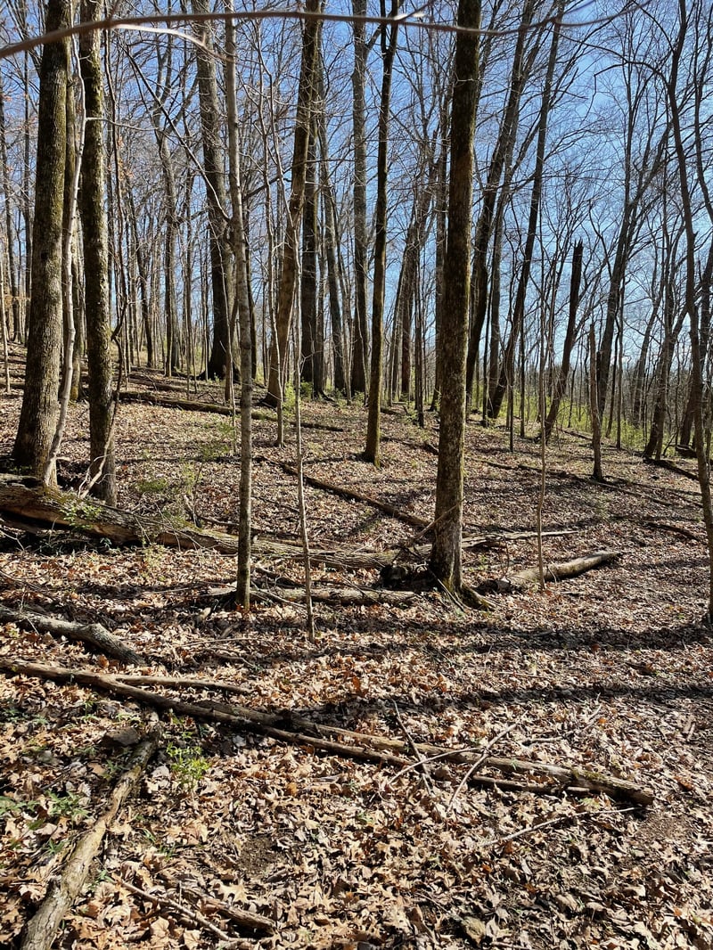 2057 Hillsboro , Franklin, TN 37069