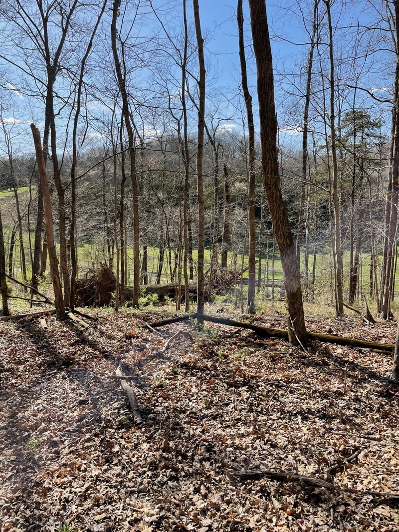 2057 Hillsboro , Franklin, TN 37069