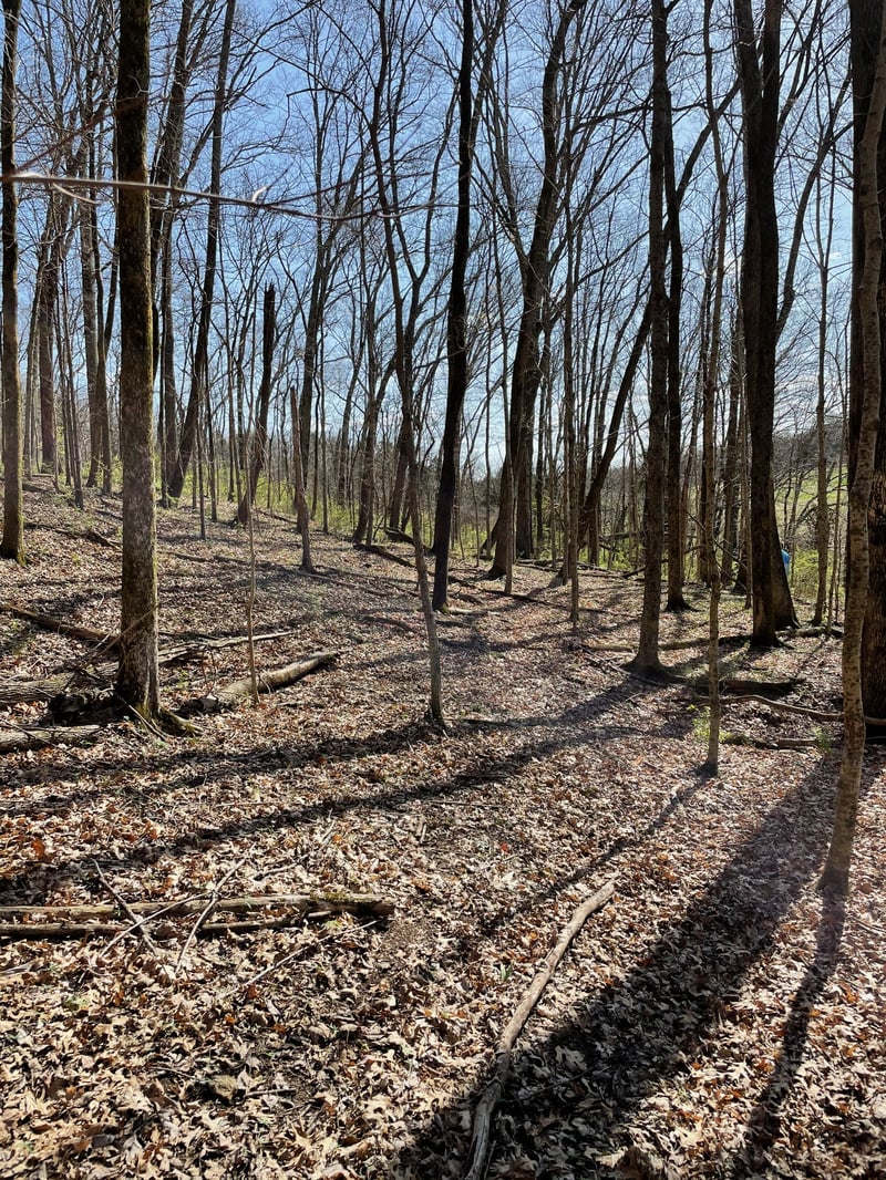 2057 Hillsboro , Franklin, TN 37069