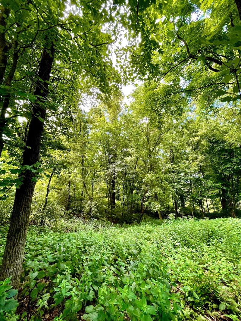 1708 Woodsong Dr, Brentwood, TN 37027
