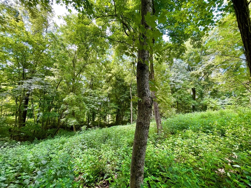 1708 Woodsong Dr, Brentwood, TN 37027