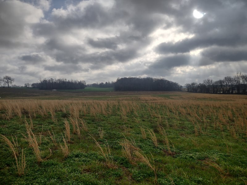 10 Highway161 , Springfield, TN 37172