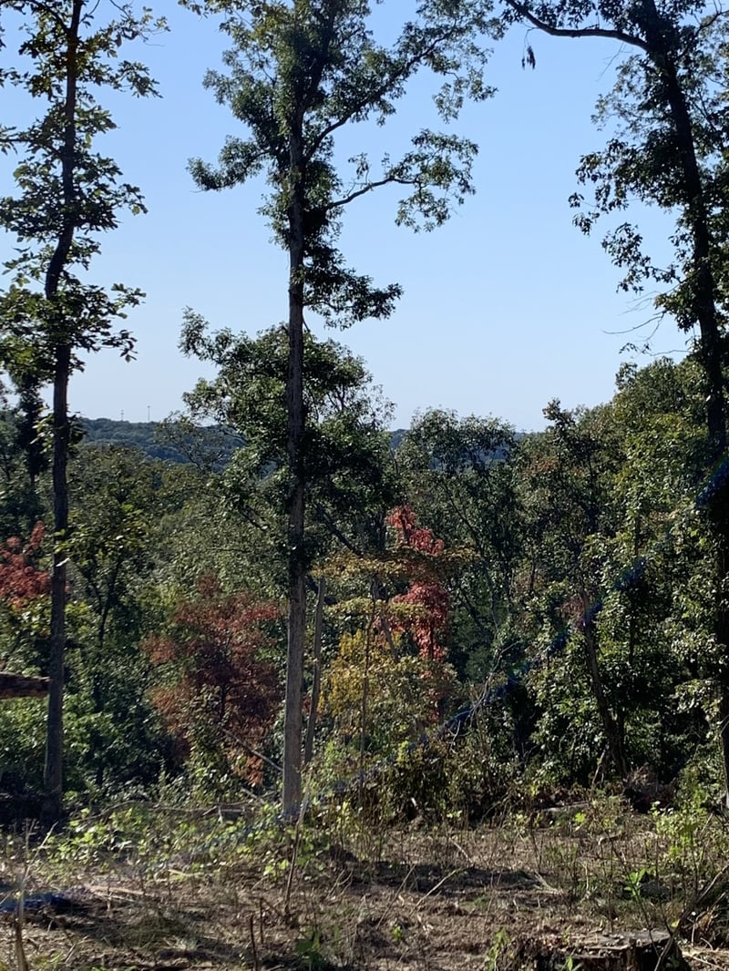 Hester Beasley Rd, Nashville, TN 37221