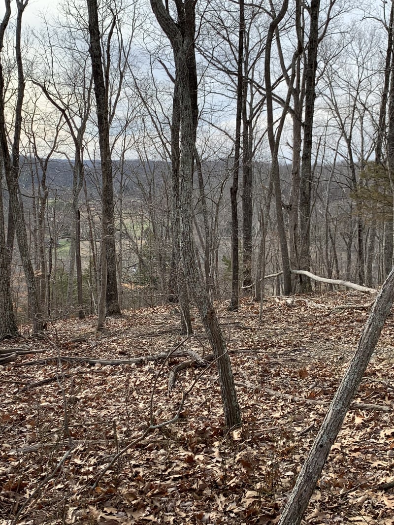 Hester Beasley Rd, Nashville, TN 37221