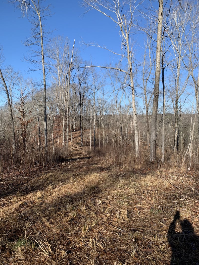 0 Hester Beasley Rd, Nashville, TN 37221