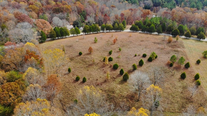 0 Dice Lampley Rd, Fairview, TN 37062