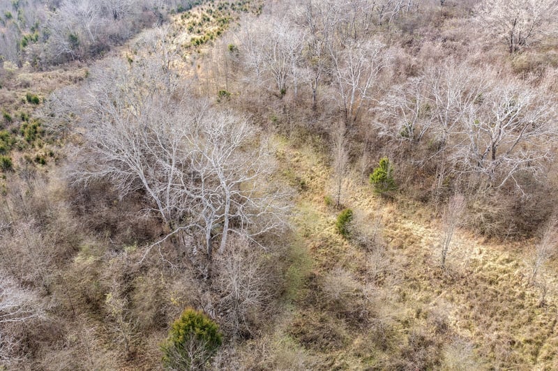 Campbell West Rd, Goodlettsville, TN 37072