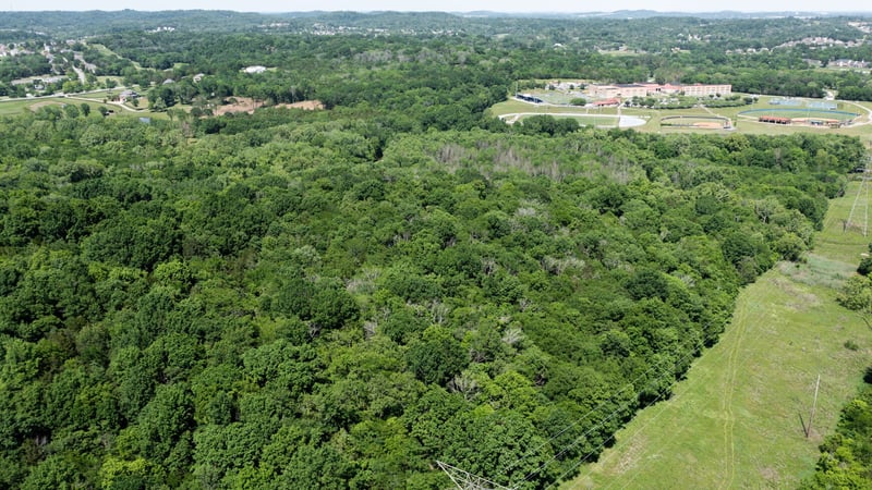 5 Peeples Ct, Madison, TN 37115