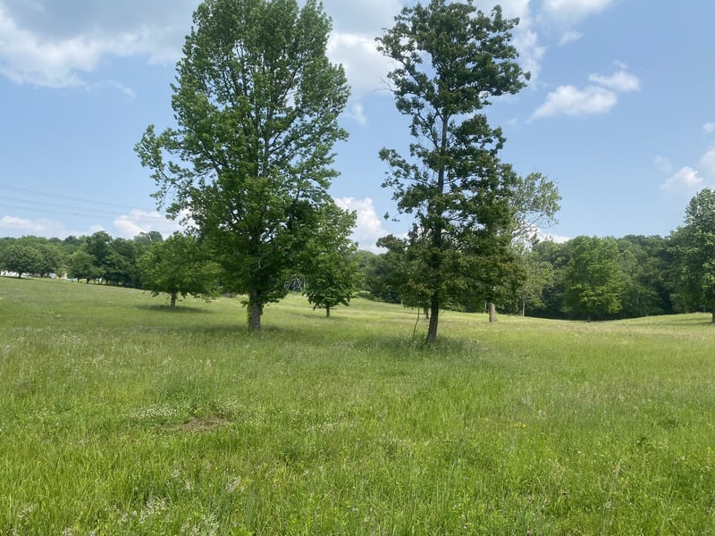 5 Leeville , Mount Juliet, TN 37122