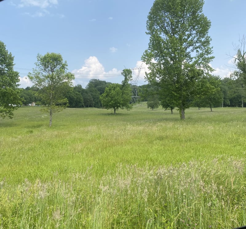 5 Leeville , Mount Juliet, TN 37122