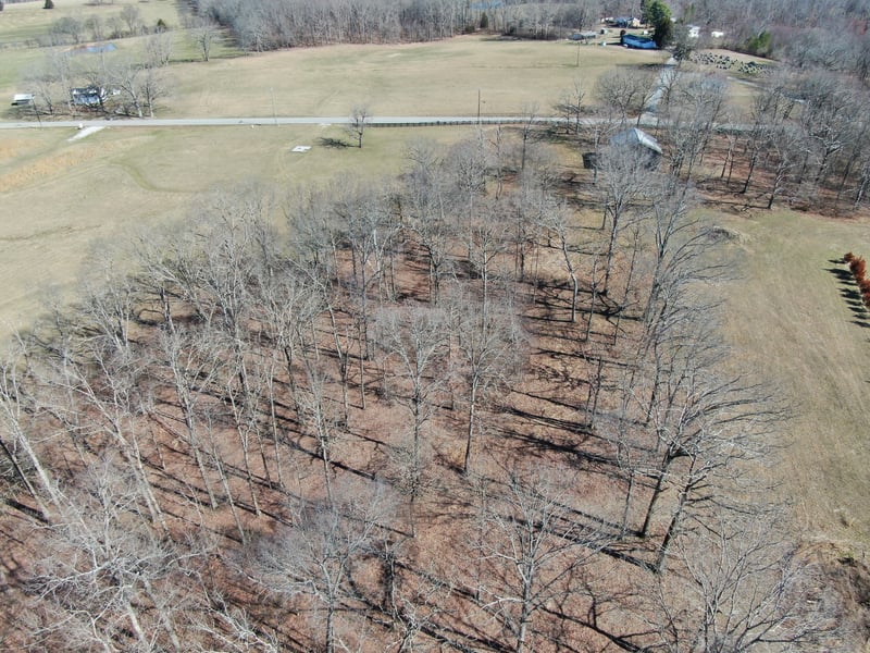 0 Pinewood Rd, Primm Springs, TN 38476