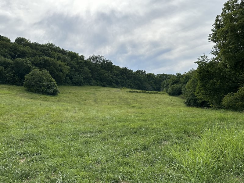 1759 Dean Rd, Thompsons Station, TN 37179