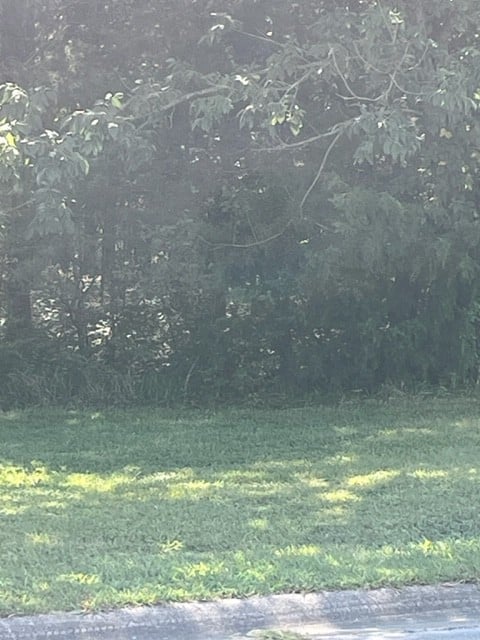 1007 Pleasant Grove Pl, Mount Juliet, TN 37122