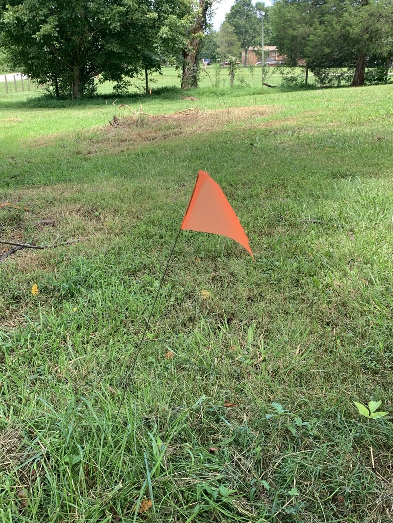 8240 Horton Hwy, College Grove, TN 37046