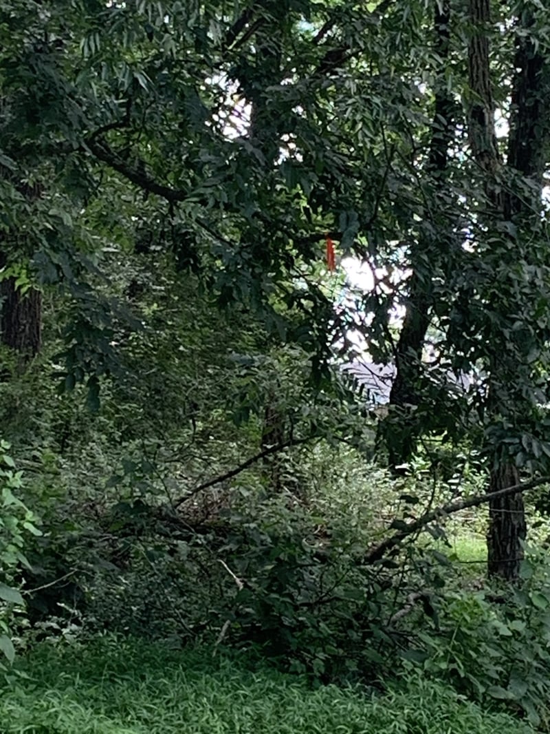 8240 Horton Hwy, College Grove, TN 37046