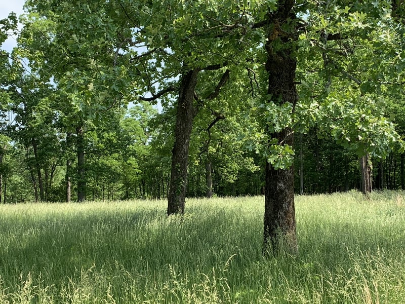 4144 Maxwell Rd, Antioch, TN 37013