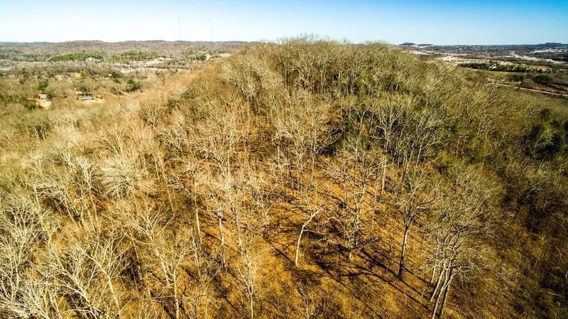 3718 Homeland Dr, Nashville, TN 37218