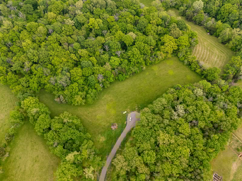 9029 Possum Trot Trl, College Grove, TN 37046