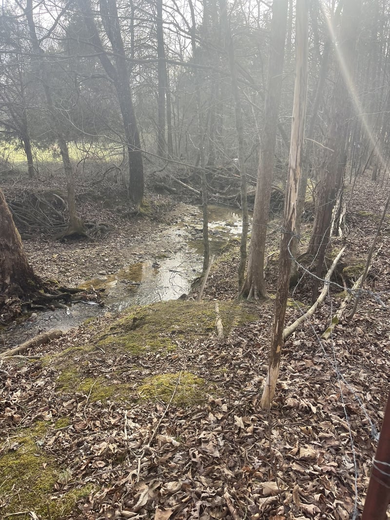 0 Dobbins Pike, Portland, TN 37148