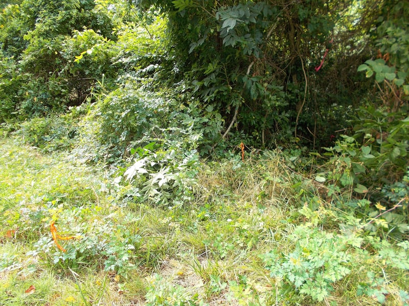 W Walnut St, Dickson, TN 37055