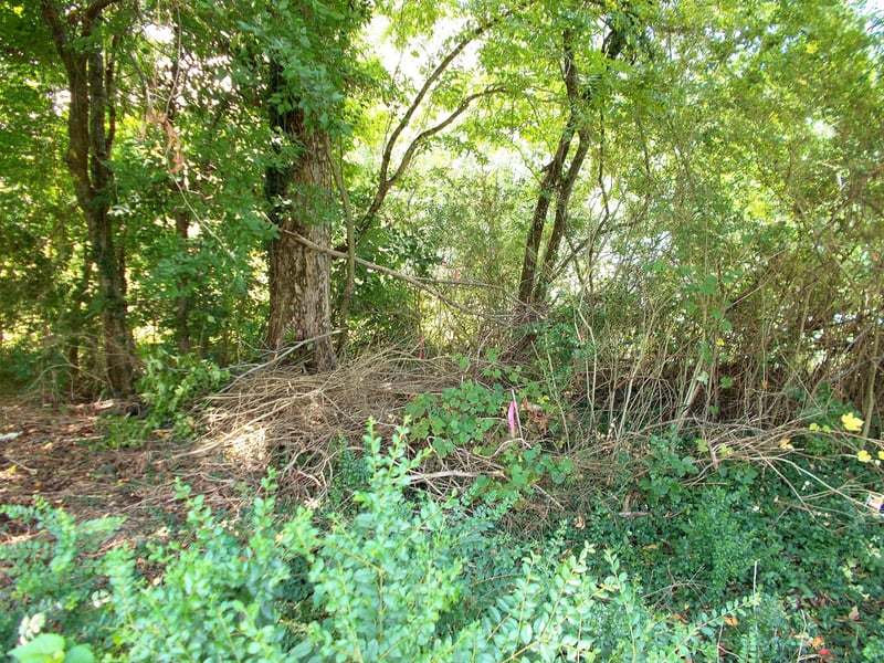 W Walnut St, Dickson, TN 37055