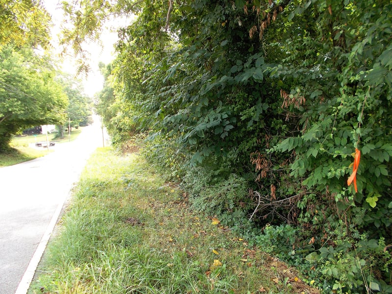 W Walnut St, Dickson, TN 37055