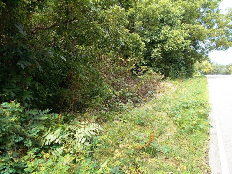 W Walnut St, Dickson, TN 37055