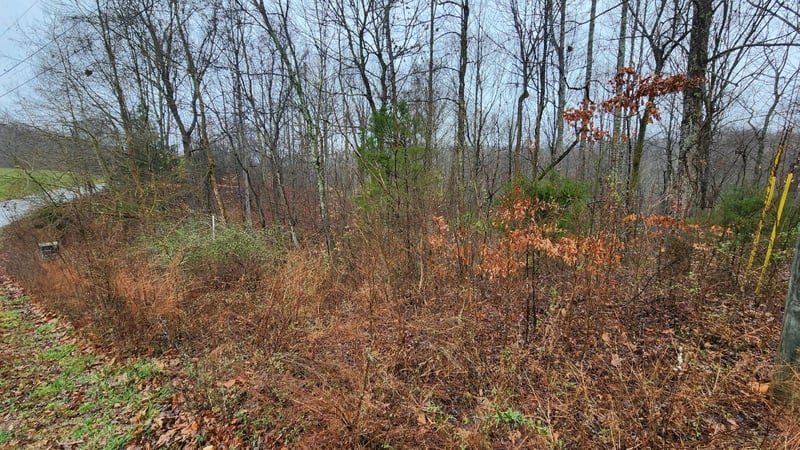 1120 Jacobs Ct Lot 15, Joelton, TN 37080