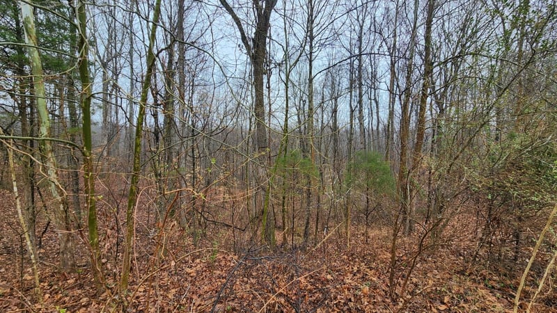 1120 Jacobs Ct Lot 15, Joelton, TN 37080