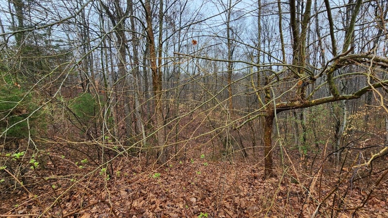 1120 Jacobs Ct Lot 15, Joelton, TN 37080