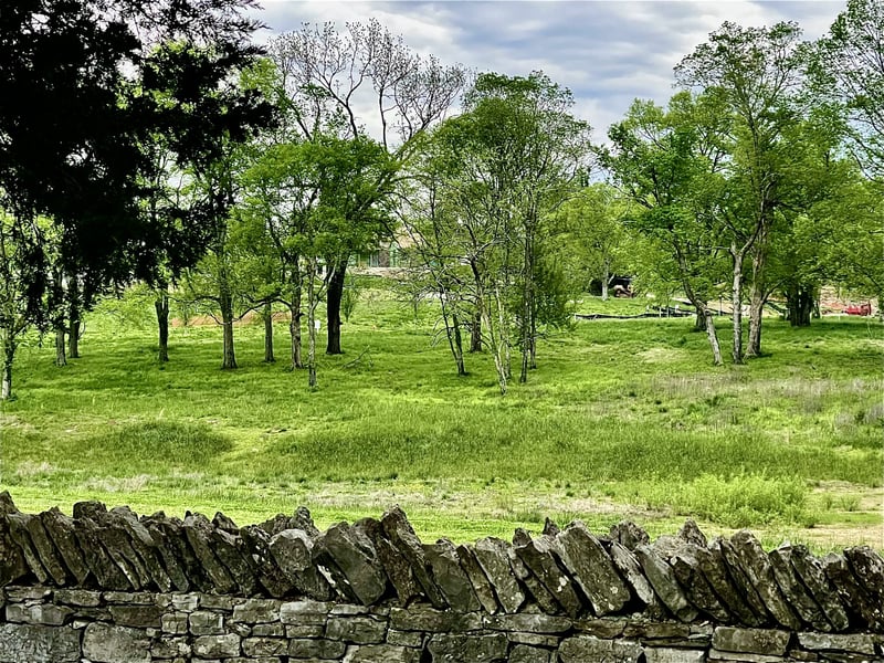 9237 Nina Ct, Brentwood, TN 37027