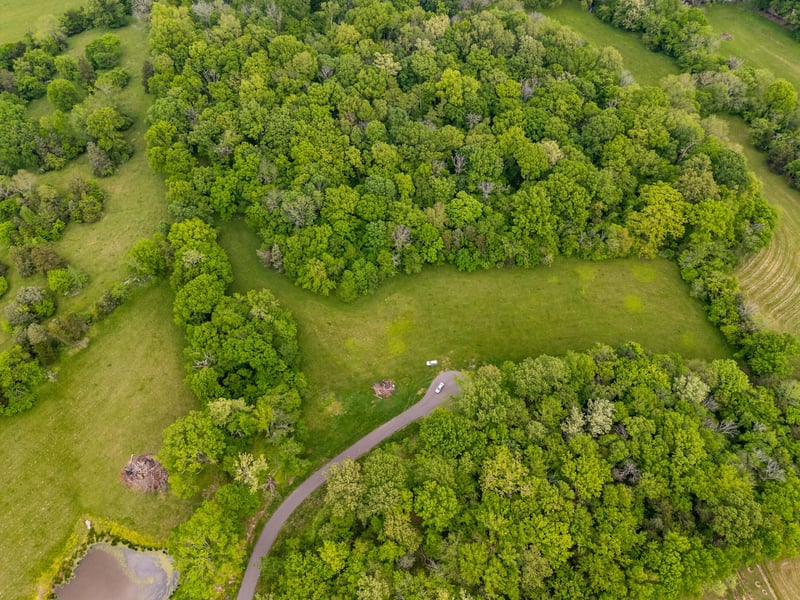 9035 Possum Trot Trl, College Grove, TN 37046