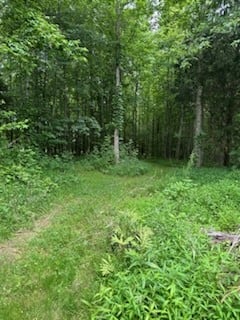 4850 Hyde Rd, Springfield, TN 37172