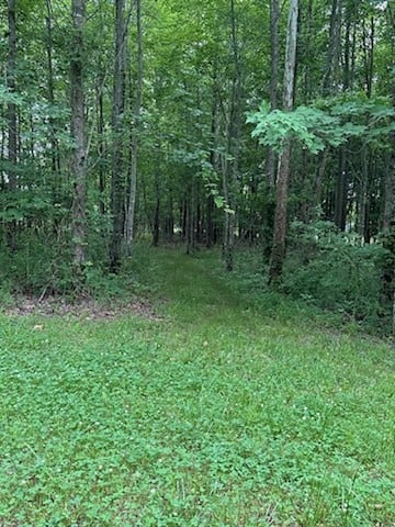 4850 Hyde Rd, Springfield, TN 37172