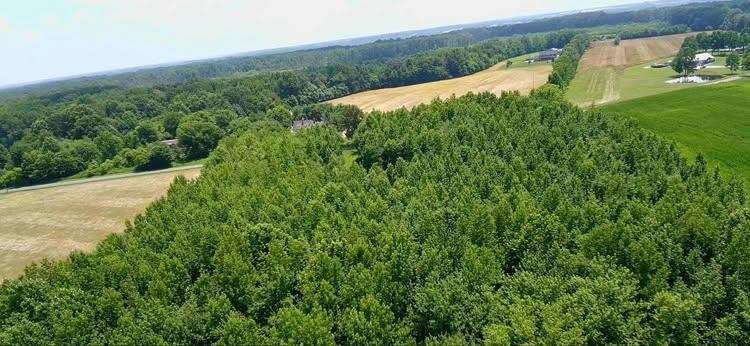 4850 Hyde Rd, Springfield, TN 37172