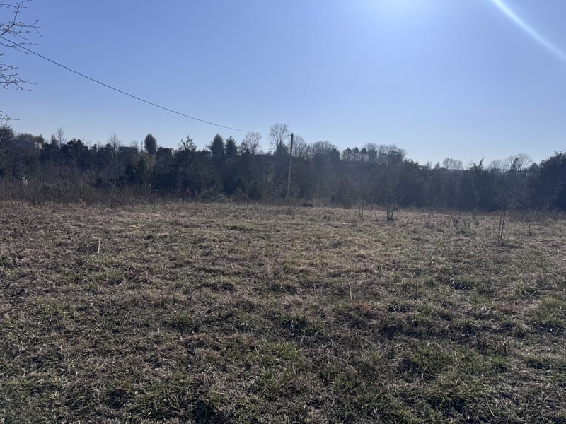 Ward Hollow Rd, Brush Creek, TN 38547