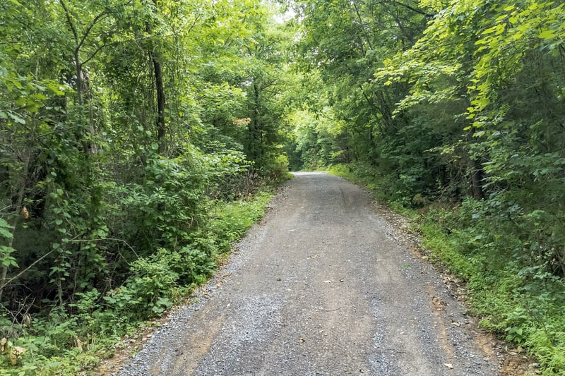 6492 Arno College Grove Rd, College Grove, TN 37046