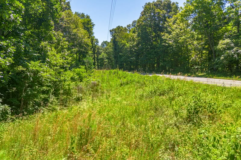 0 Chestnut Ridge Rd, Santa Fe, TN 38482