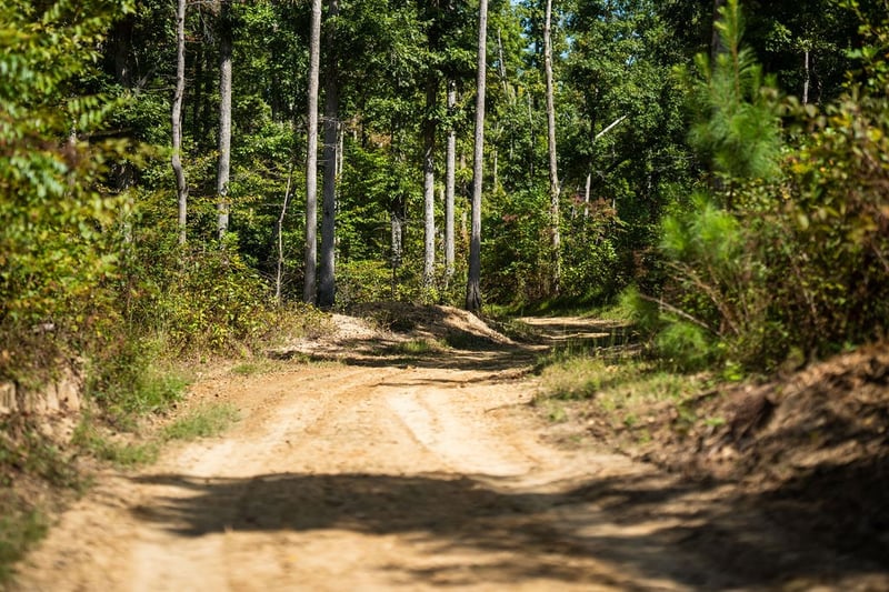 1 Pinewood Dr, Franklin, TN 37064