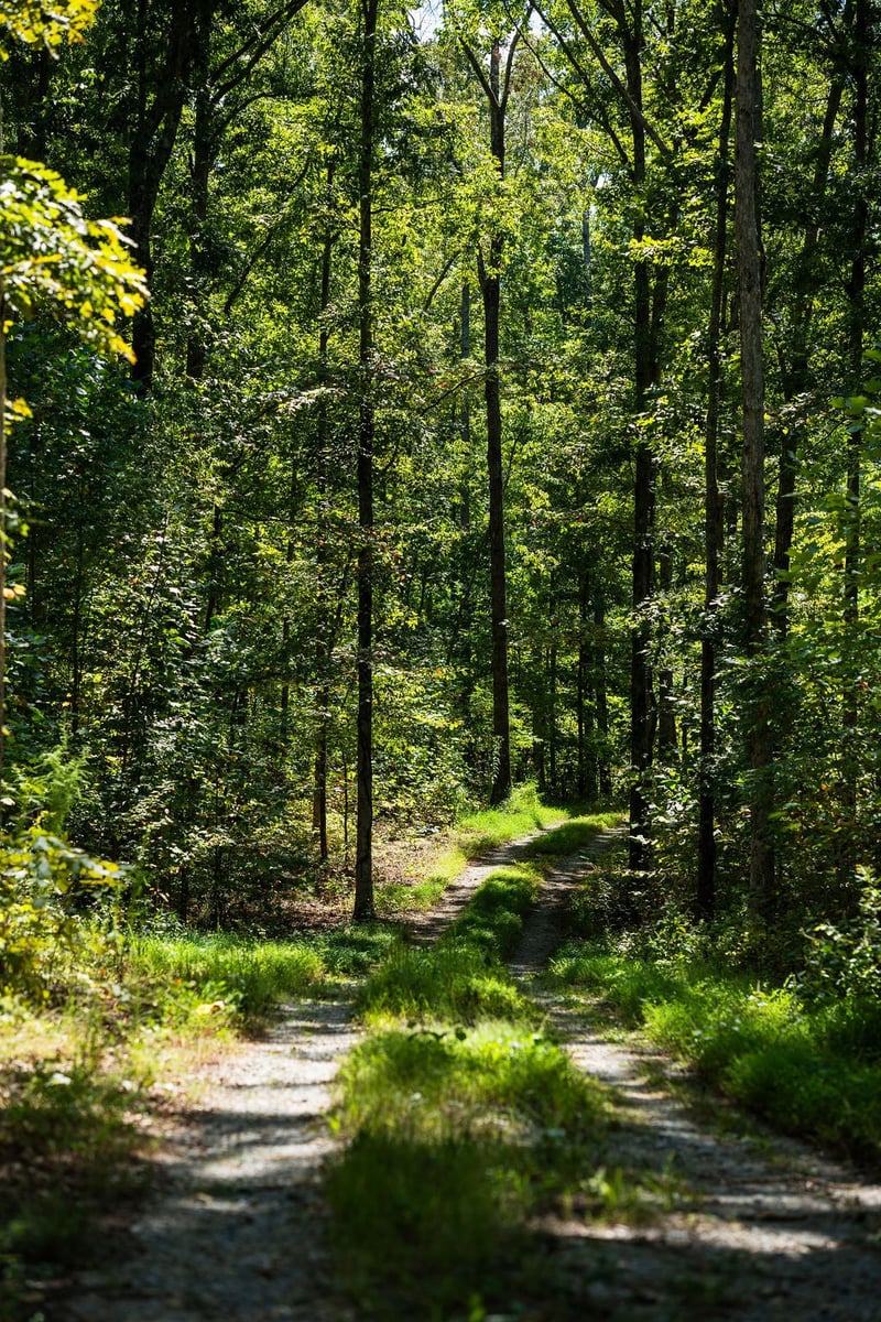 1 Pinewood Dr, Franklin, TN 37064