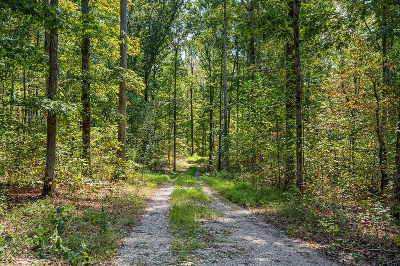 1 Pinewood Dr, Franklin, TN 37064