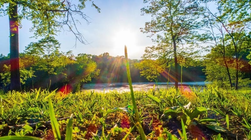 0 Forest Retreat Rd, Hendersonville, TN 37075