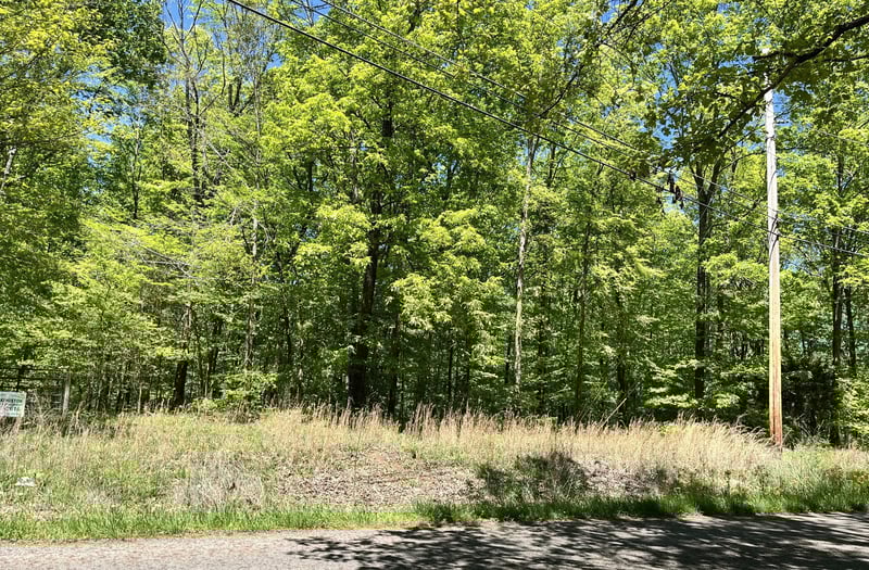 0 Mt Pleasant Rd, Kingston Springs, TN 37082