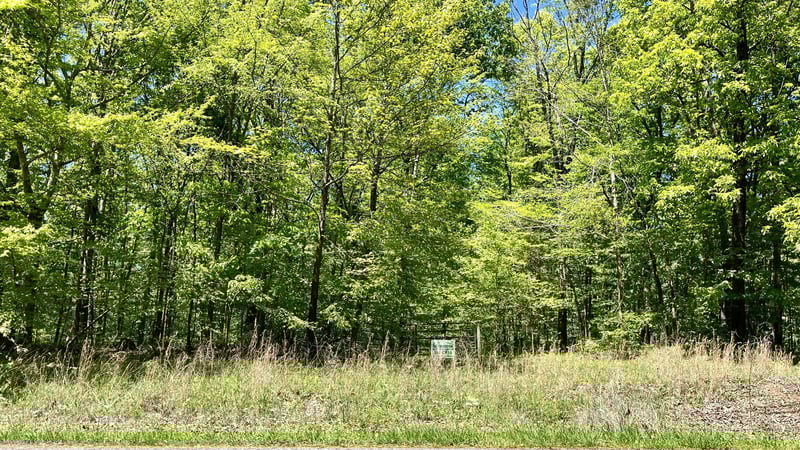 0 Mt Pleasant Rd, Kingston Springs, TN 37082