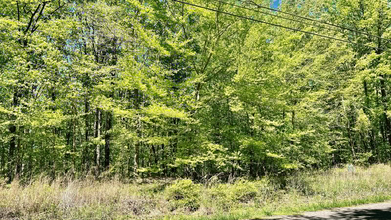 0 Mt Pleasant Rd, Kingston Springs, TN 37082