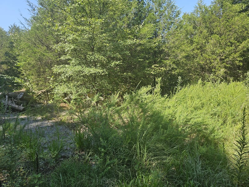 Underwood Rd, Mount Juliet, TN 37122