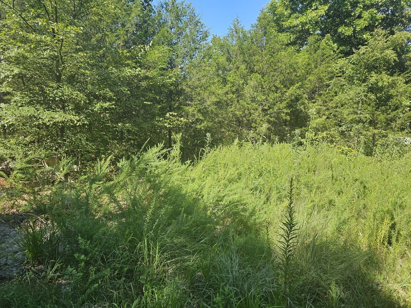 Underwood Rd, Mount Juliet, TN 37122