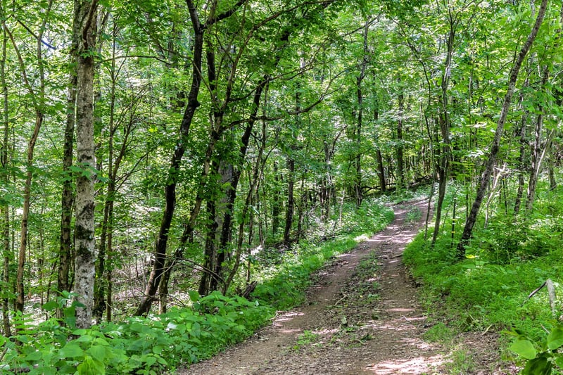 0 Lickton Pike, Goodlettsville, TN 37072