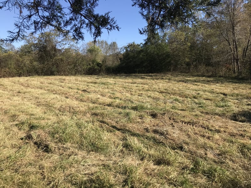 3588 Hartsville Pike, Castalian Springs, TN 37031