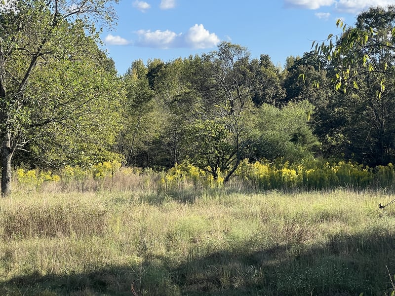 3588 Hartsville Pike, Castalian Springs, TN 37031